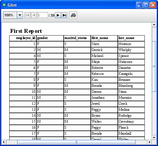 Generated Glint Report