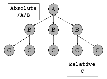 An XML Tree