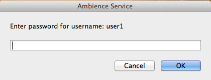 Enter Administrator Password - Ambience Service