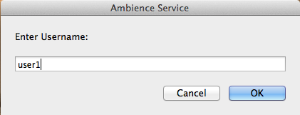 Enter Administrator User Name - Ambience Service