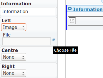 Image Element for the Information Band