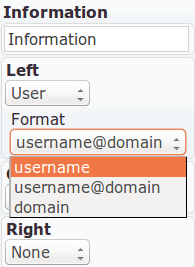 User Element for the Information Band