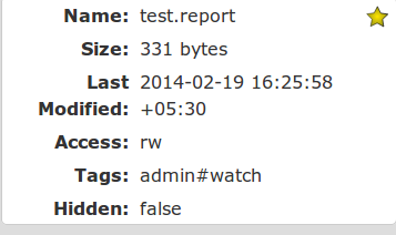 A File Being Watched