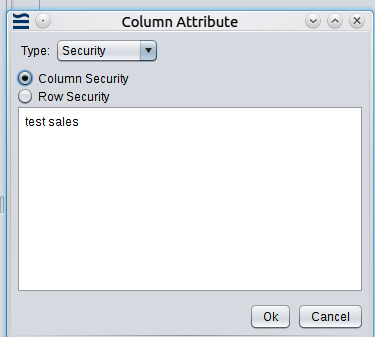 Setting Column Security